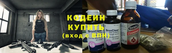 прущие грибы Переславль-Залесский