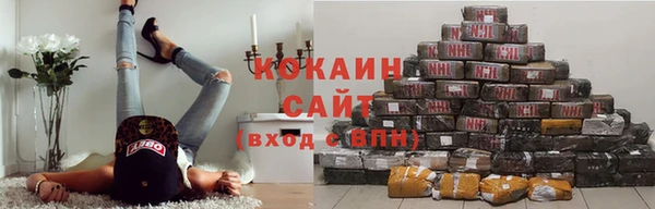 шишки Пестово