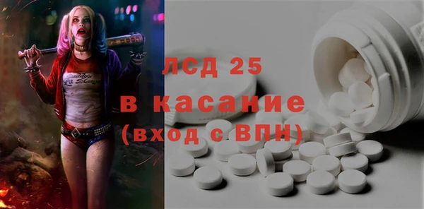 прущие грибы Переславль-Залесский