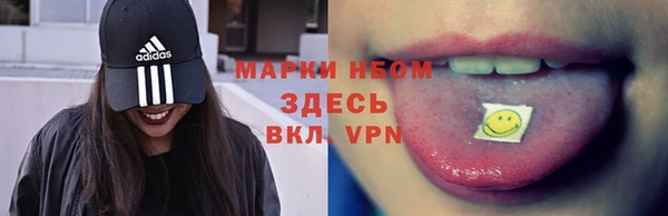 прущие грибы Переславль-Залесский