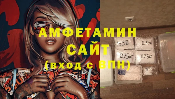 шишки Пестово