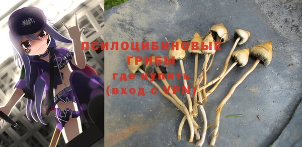 прущие грибы Переславль-Залесский