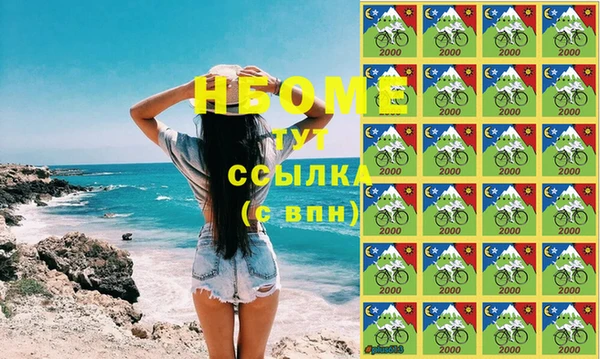 прущие грибы Переславль-Залесский