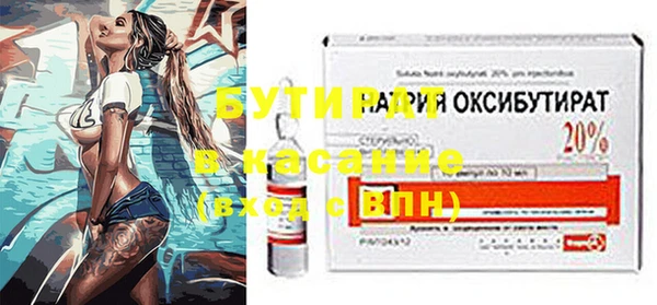 шишки Пестово