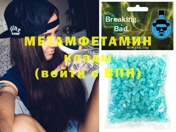 прущие грибы Переславль-Залесский