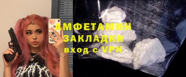 прущие грибы Переславль-Залесский