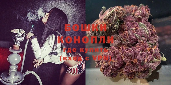 шишки Пестово