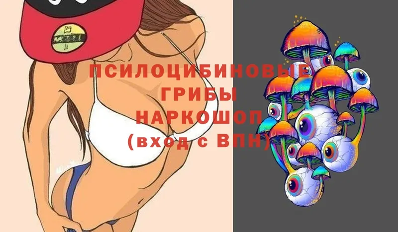 Галлюциногенные грибы ЛСД  Новосиль 