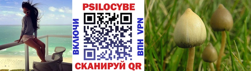 mega зеркало  Новосиль  Галлюциногенные грибы GOLDEN TEACHER 